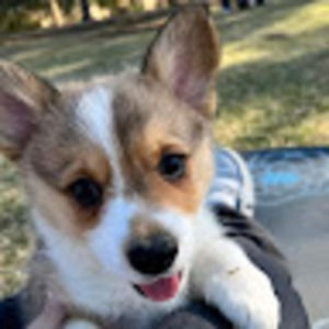 Meet your Posher, Hallie cooper